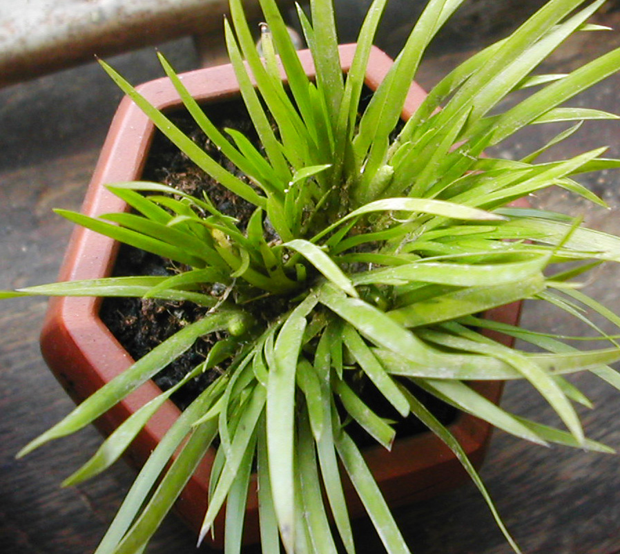 DSCN5871.JPG