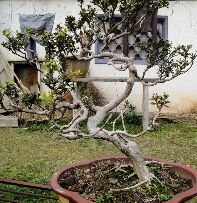 DSC08316.JPG