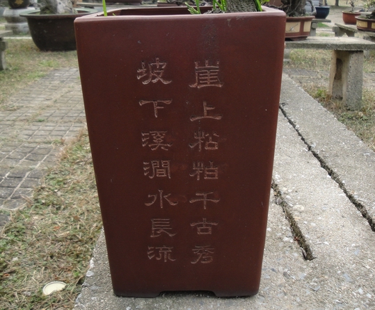 DSC08320.JPG