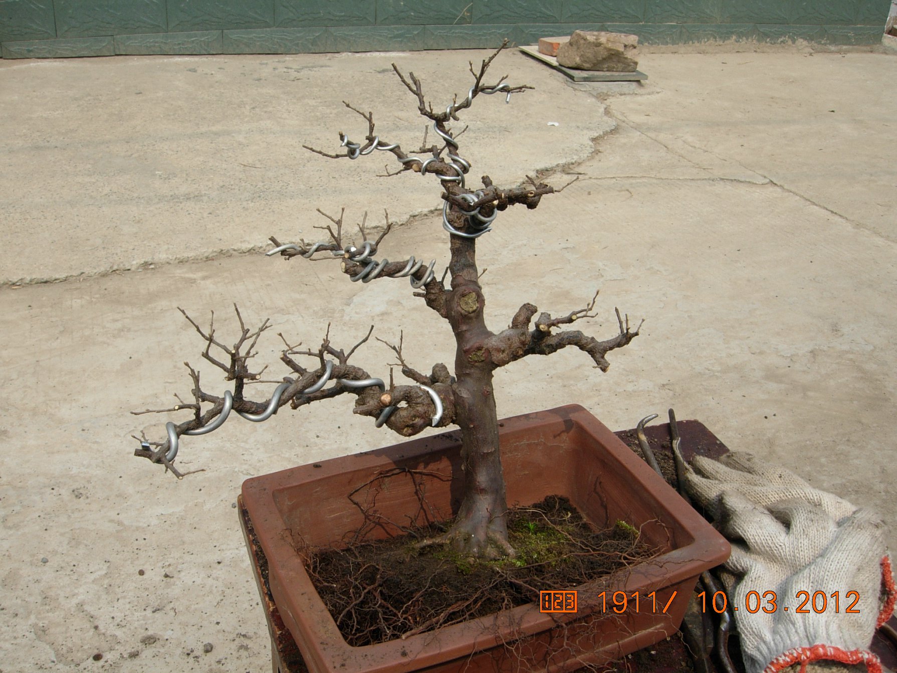 DSCN5461.JPG