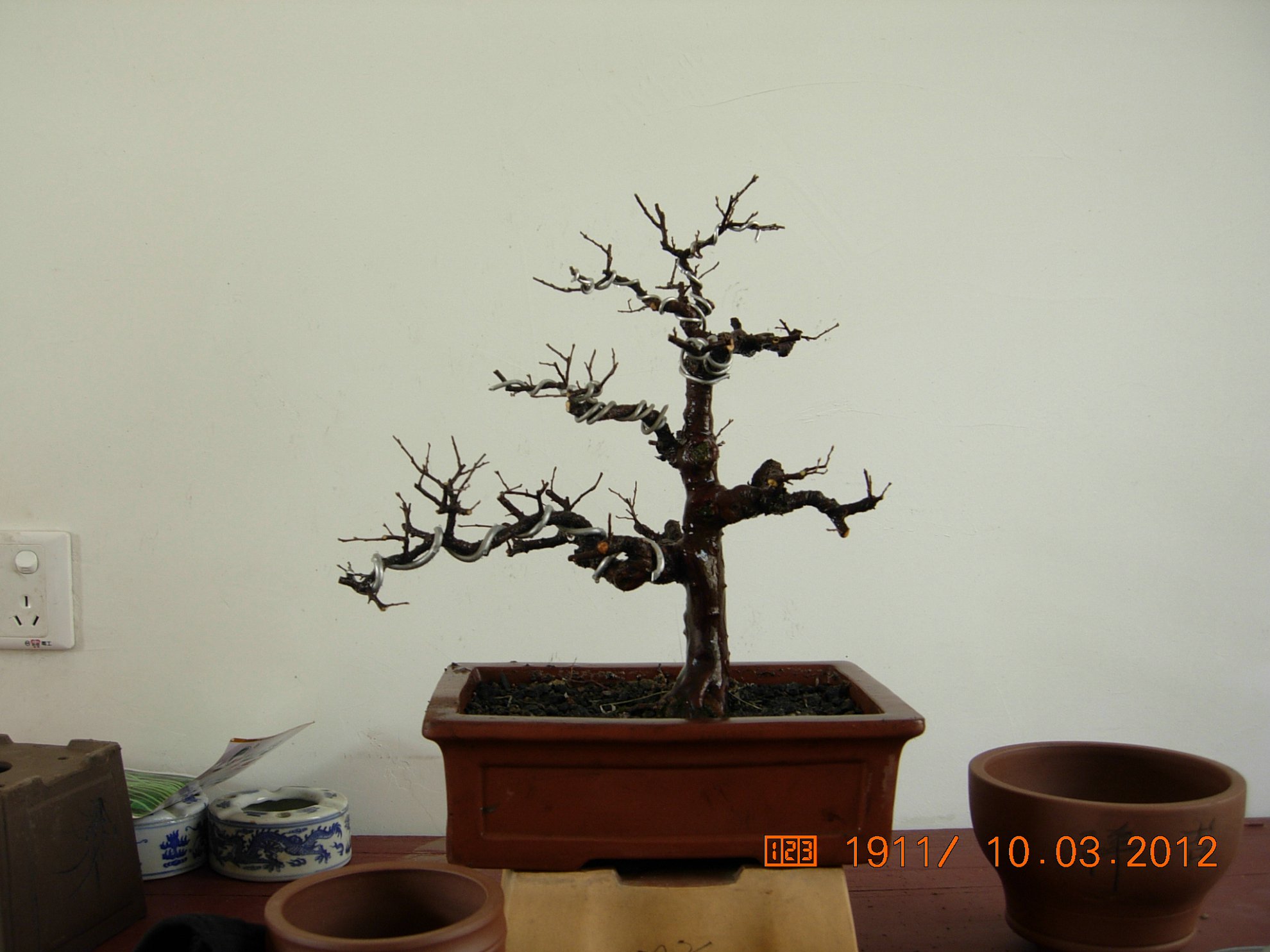 DSCN5464.JPG