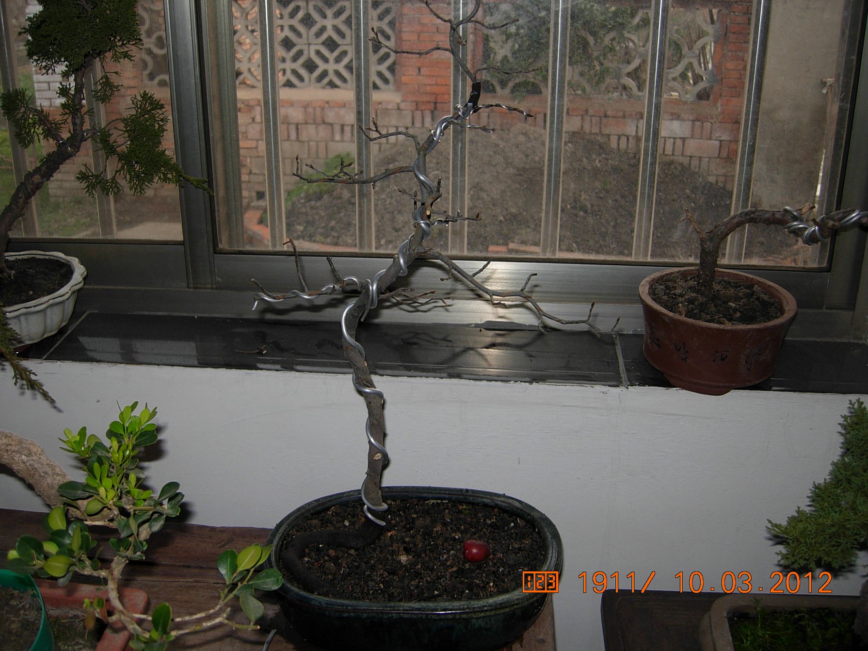 DSCN5467.JPG