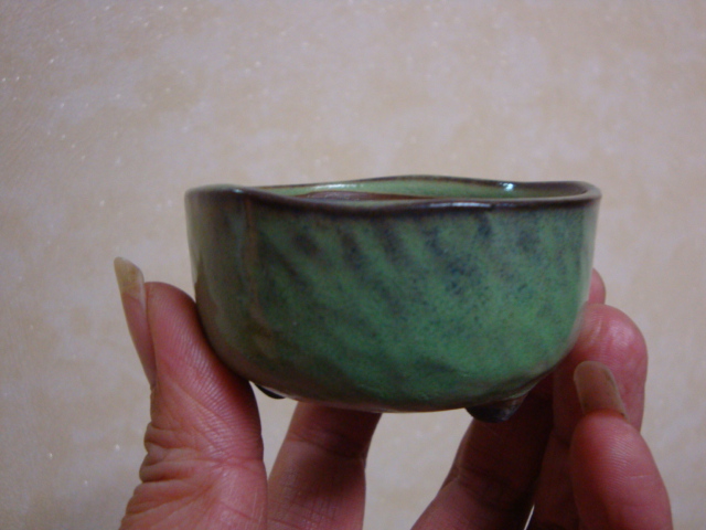 DSC08224.JPG