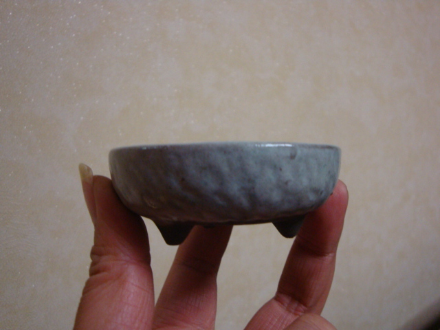 DSC08222.JPG