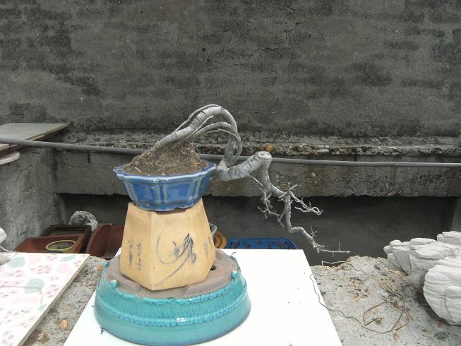 DSCF5665.JPG