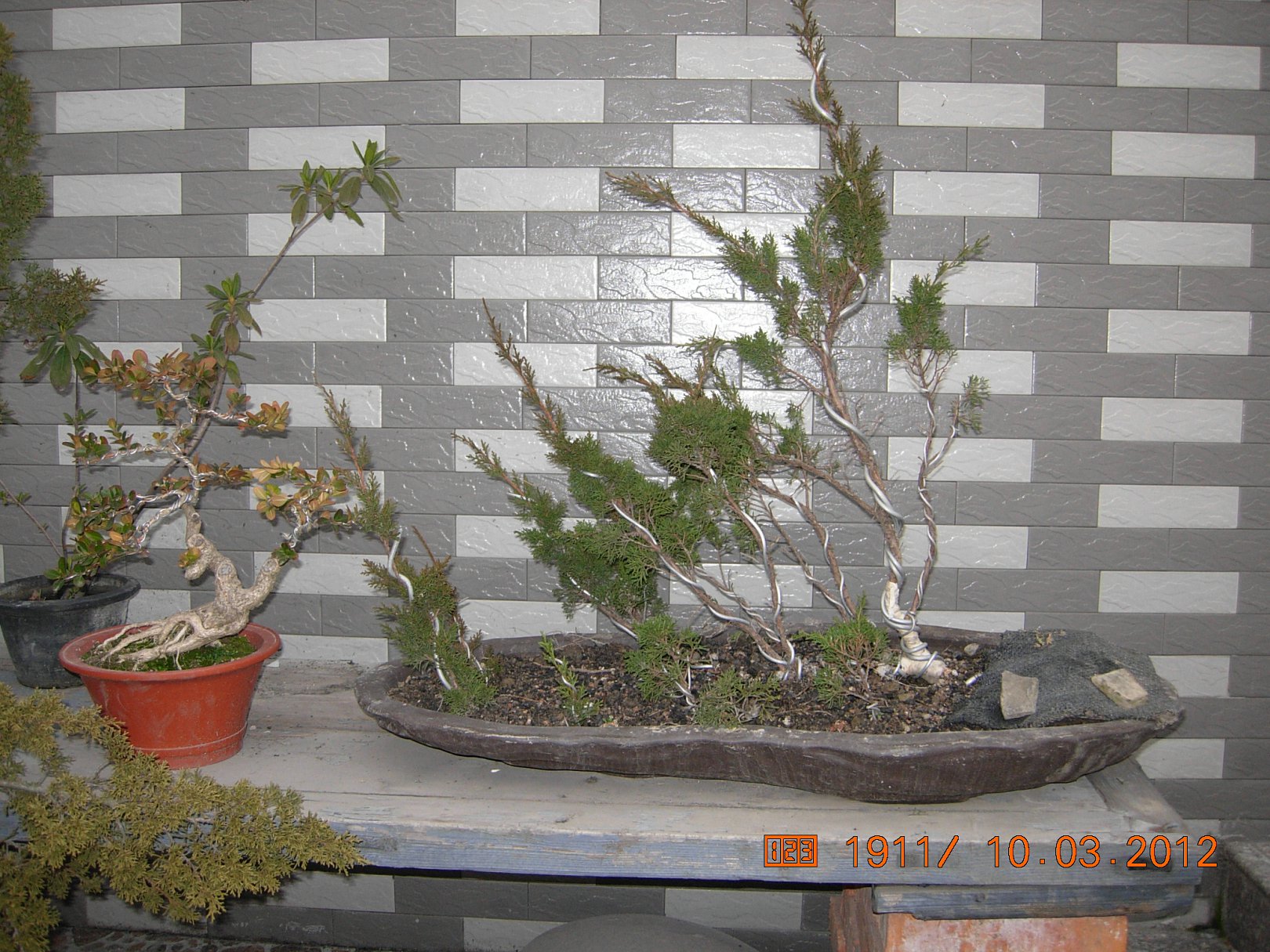 DSCN5474.JPG