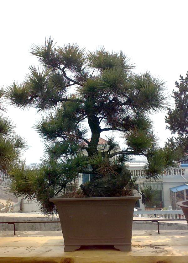 030420091604.jpg