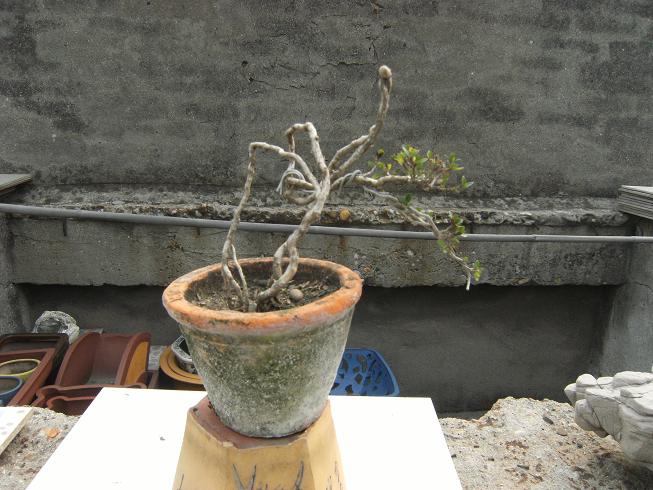 DSCF5635.JPG