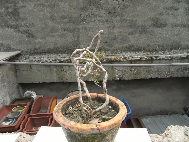 DSCF5636.JPG