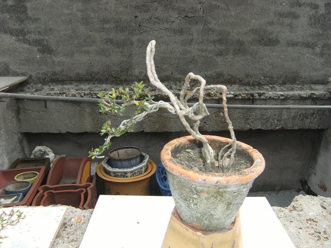 DSCF5637.JPG