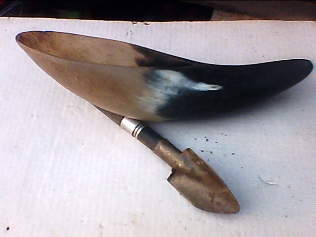 IMG1022A.jpg