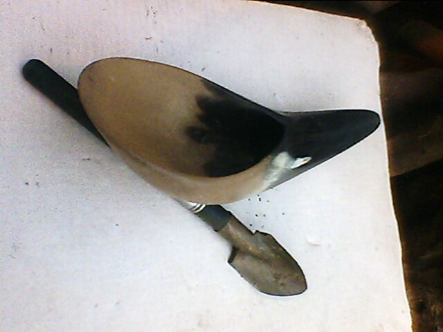 IMG1023A.jpg