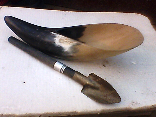 IMG1024A.jpg