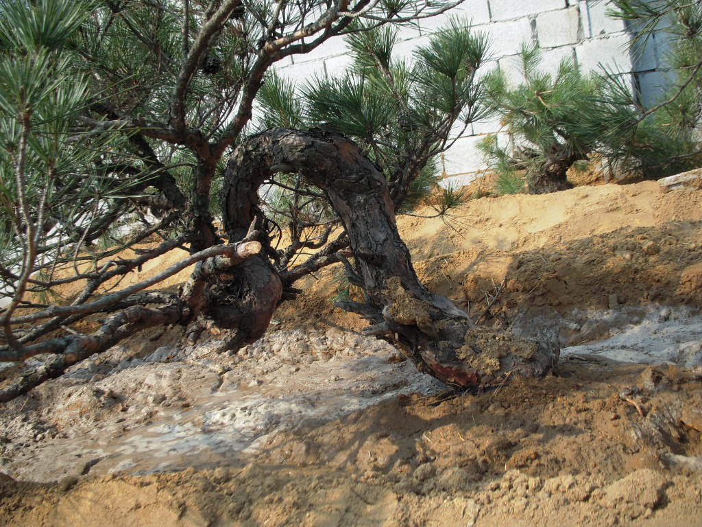 DSCN2302.JPG
