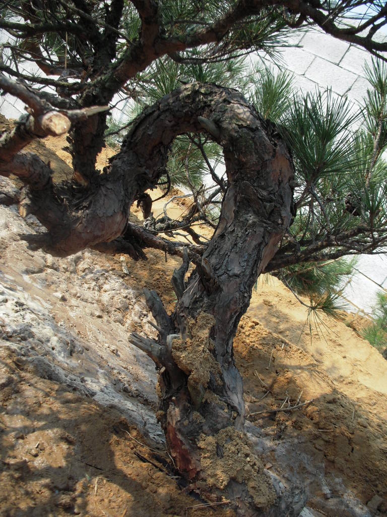 DSCN2304.JPG