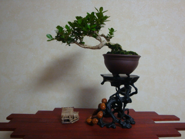 DSC06887.JPG