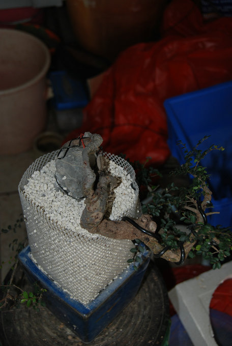 DSC_0570.JPG