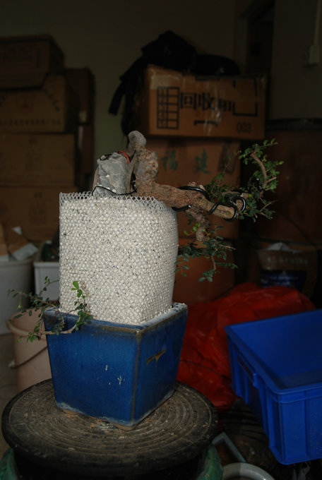 DSC_0569.JPG