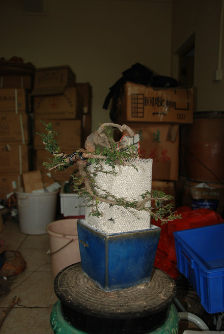 DSC_0567.JPG