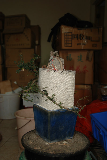 DSC_0566.JPG