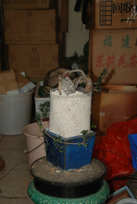 DSC_0565.JPG