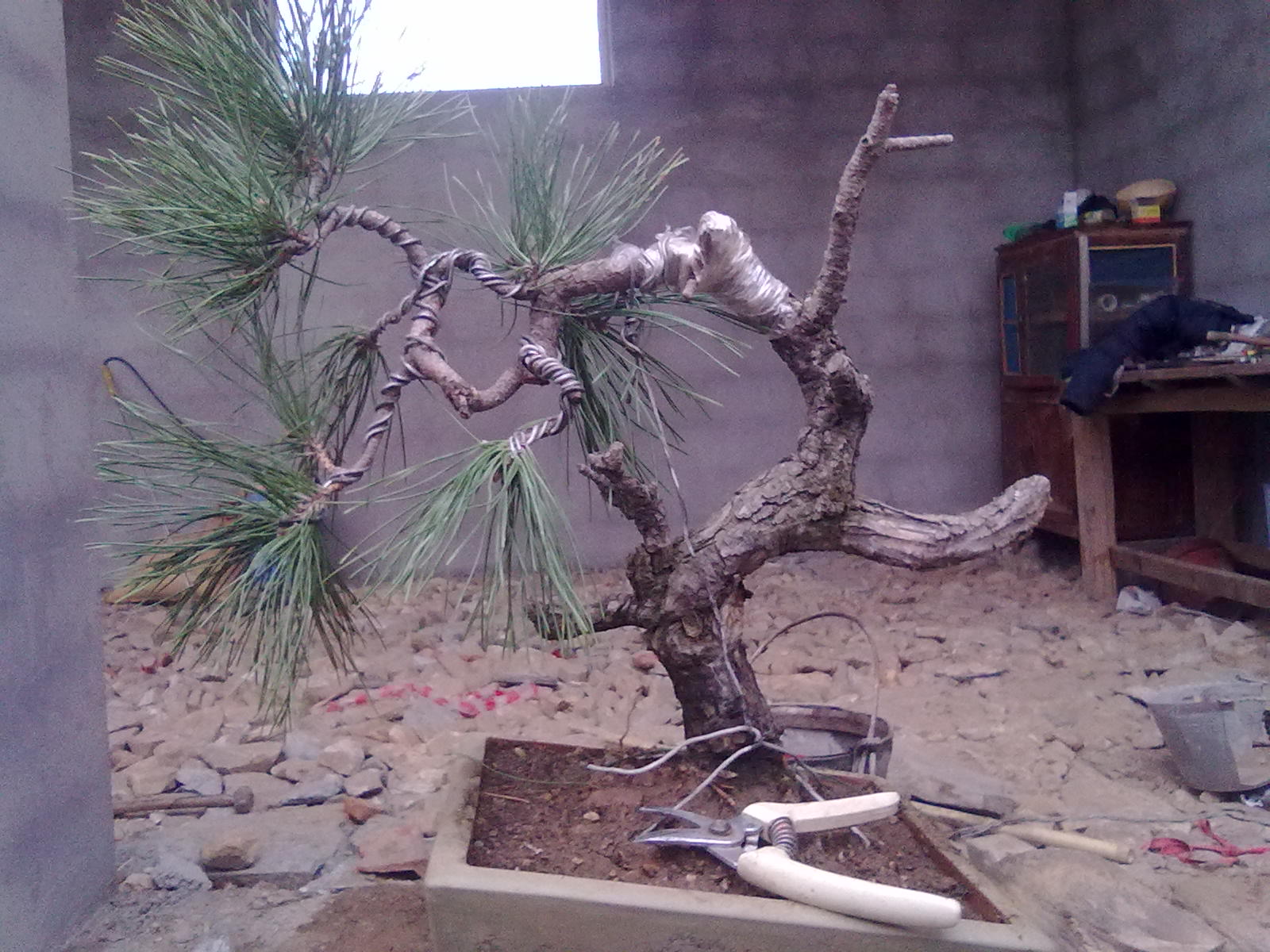 20120317399.jpg