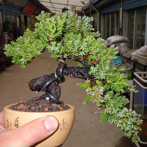 DSCN188_副本.jpg