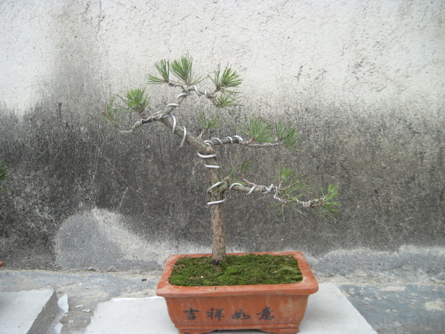 2012031192С 002.jpg