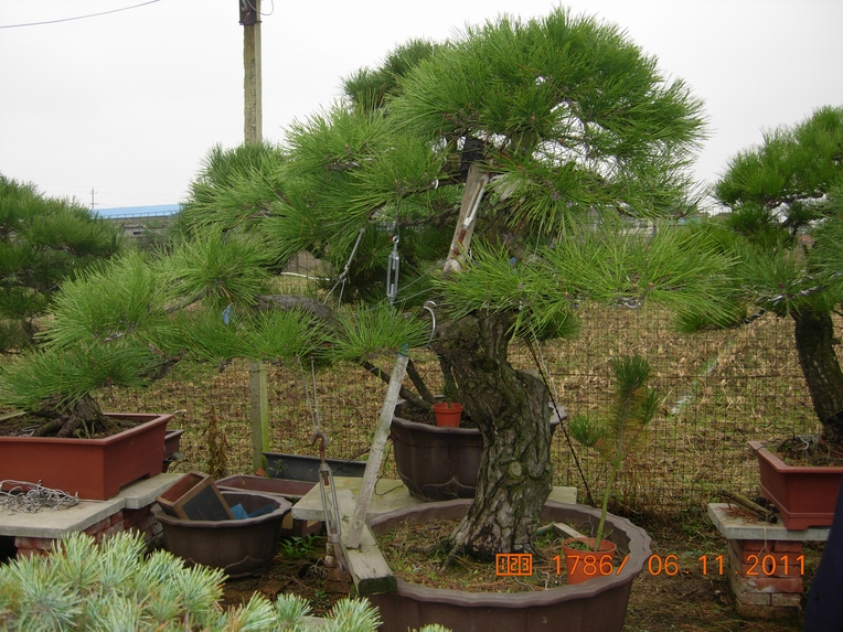 DSCN4533.JPG