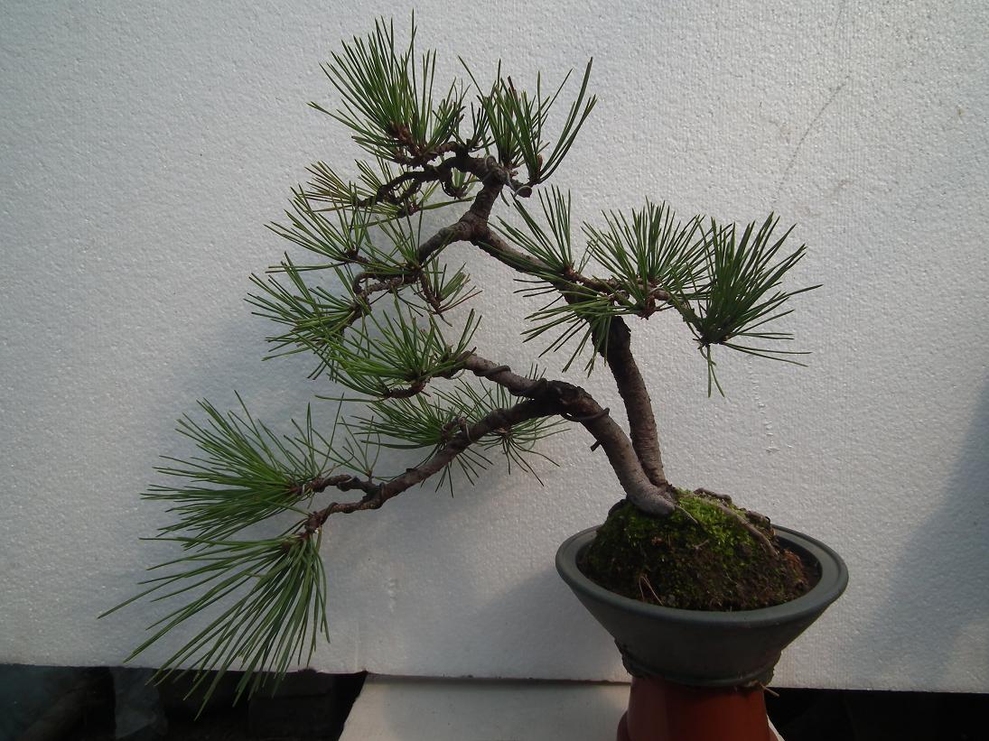 DSCF1364.JPG