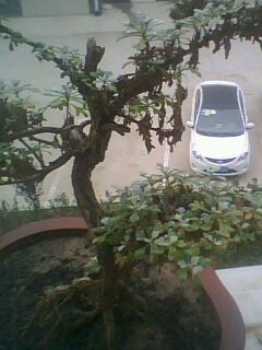 IMG0059A.jpg
