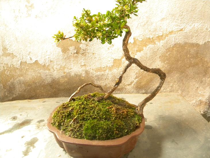 DSCN5280.JPG