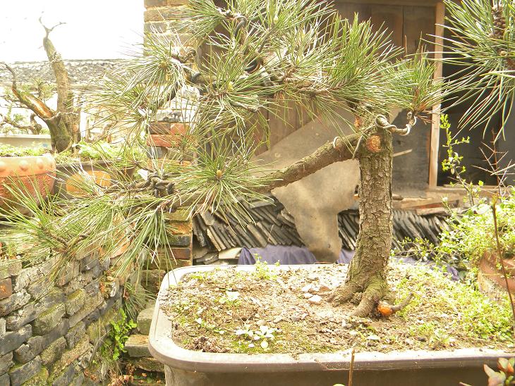 DSCN5245.JPG