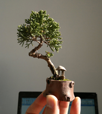 20111230550.jpg