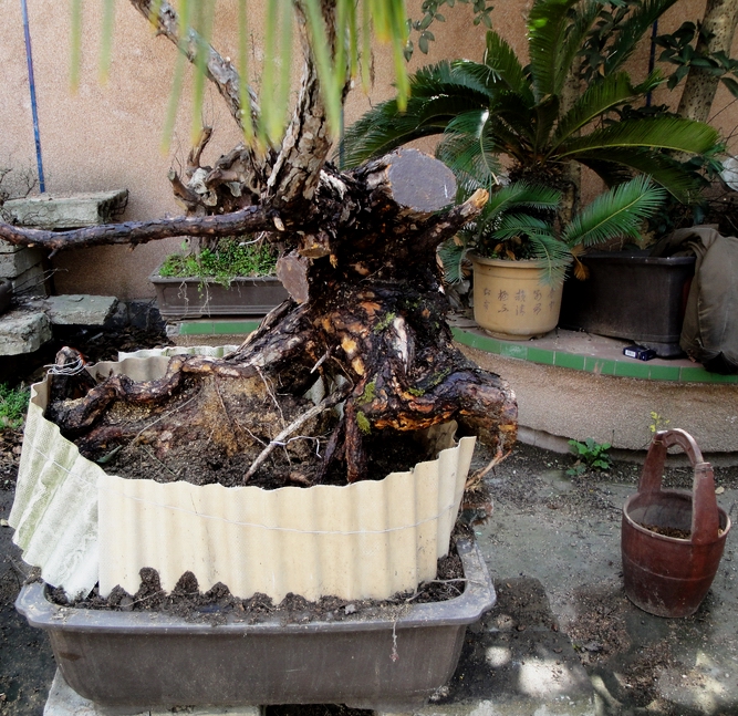 DSC08561.JPG