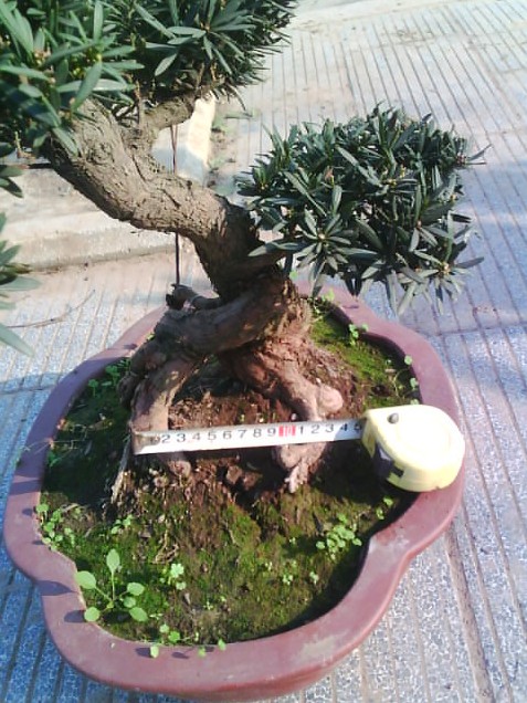 ͨȸ޺2.jpg