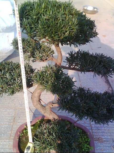 ͨȸ޺3.jpg