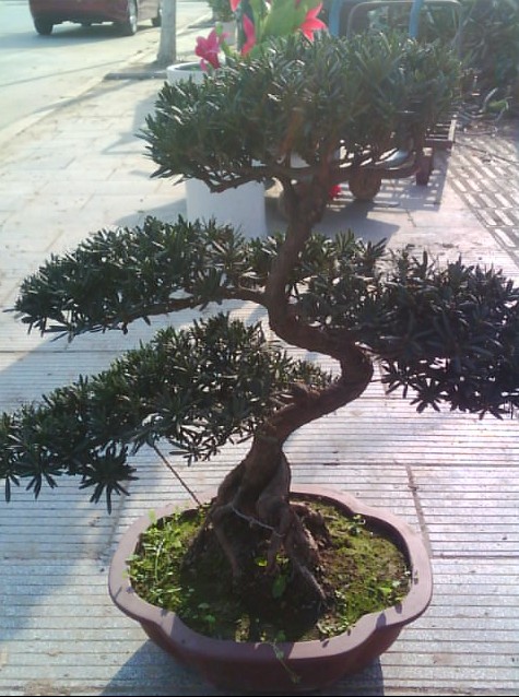 ͨȸ޺4.jpg