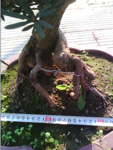 ͨȸ޺5.jpg