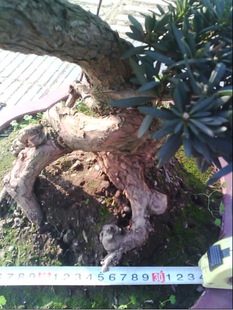 ͨȸ޺6.jpg
