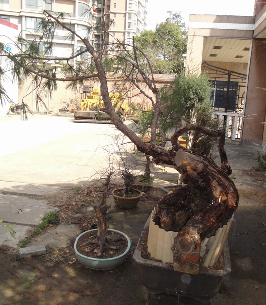 DSC08566.JPG