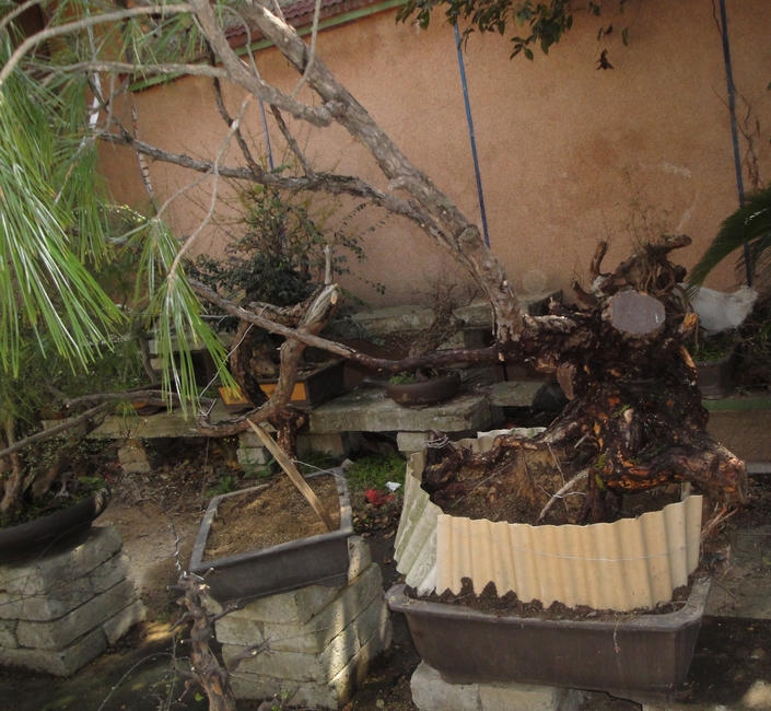 DSC08567.JPG