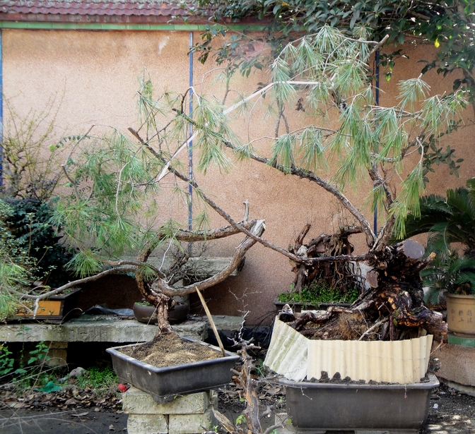 DSC08577.JPG