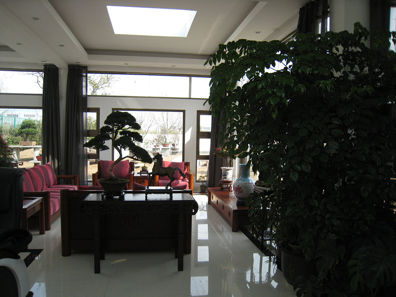 IMG_0906_.jpg