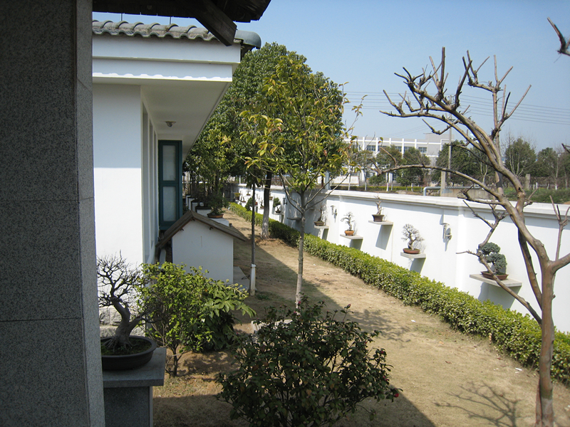 IMG_0922_.jpg
