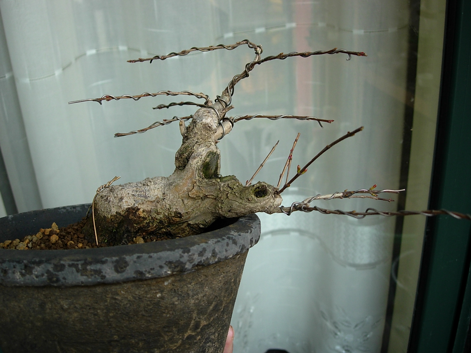 DSCN7424.JPG