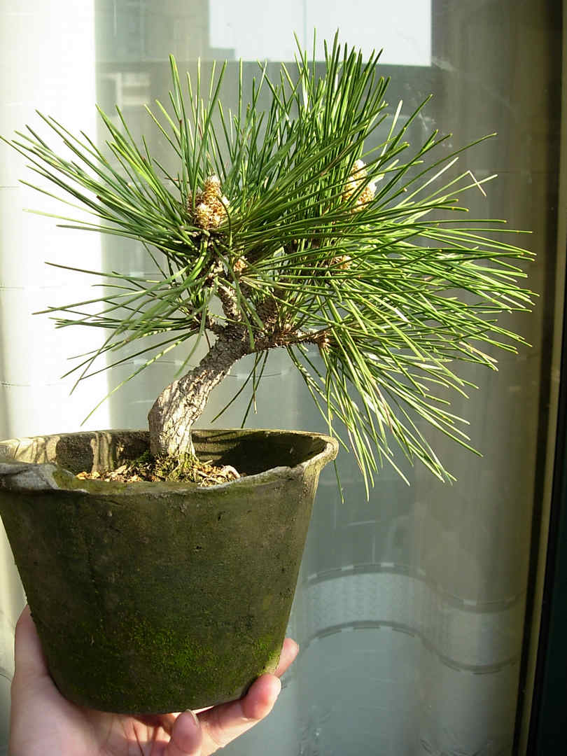DSCN7456.jpg