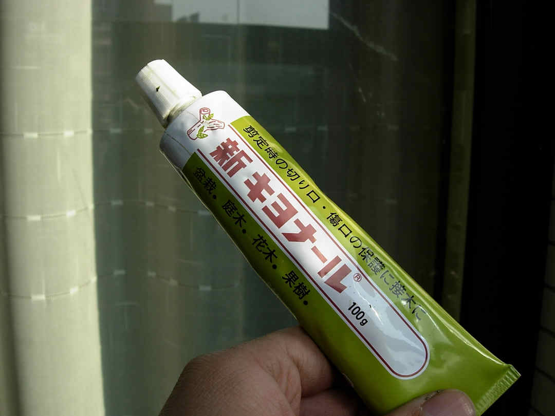 DSCN7480.jpg