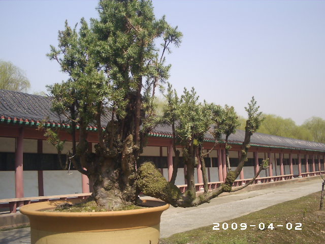 PHOT0006.JPG