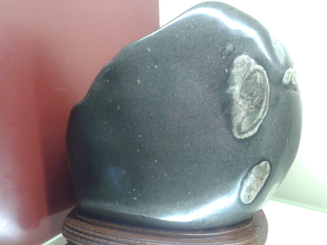 2012-03-30 16.43.18.jpg